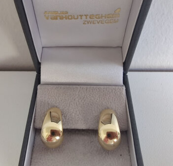 Gouden oorbellen 18kt Vanhoutteghem - S387637