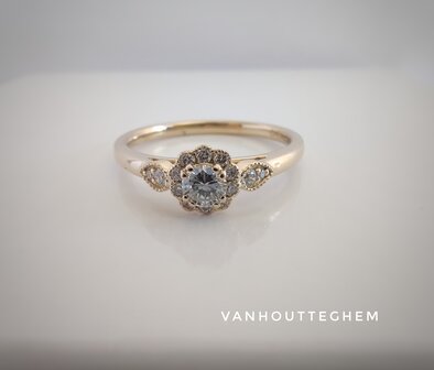 Diamond Ring Vanhoutteghem 18kt