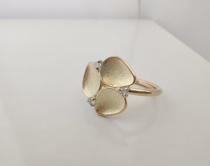 Gouden ring 18 kt