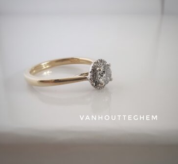 Haloring Diamond 18 kt