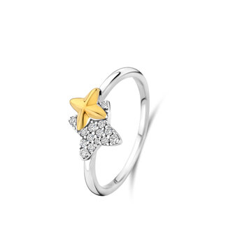 N5P61 Naiomy ring 