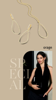 Orage silver Vanhoutteghem Zwevegem