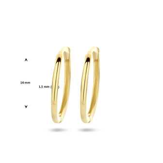 goudne creolen 14 kt