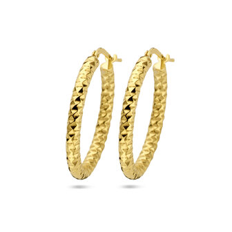 Ovalen creolen buis 3 mm