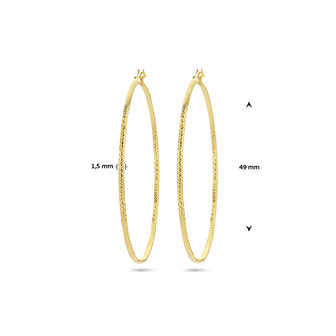 grote zilveren creolen 