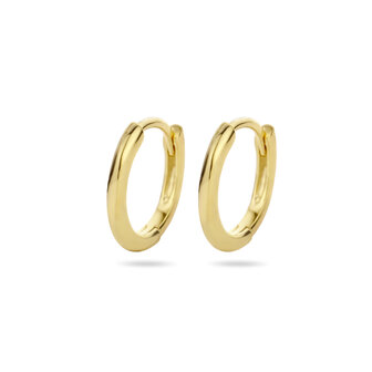 kleine klapcreolen zilver