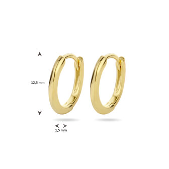 zilveren creolen 10 mm verguld