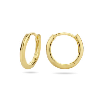 creolen zilver geel goud verguld