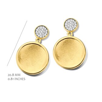 oorbellen silver rose EA2354GB