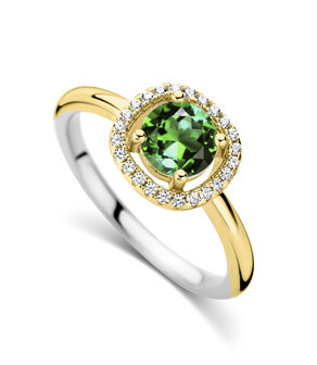 R2395GGR Silver Rose