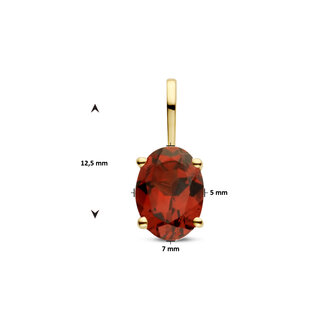 hanger geboortesteen 14 kt met grenat