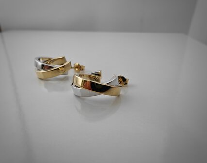 Oorstekers 18 kt Vanhoutteghem