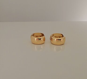 gouden scharnieroorbellen 18 kt