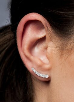 zilveren oorringen juwelier Vanhoutteghem online shop