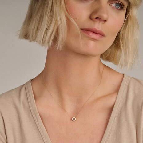 Blush lab diamonds kortrijk