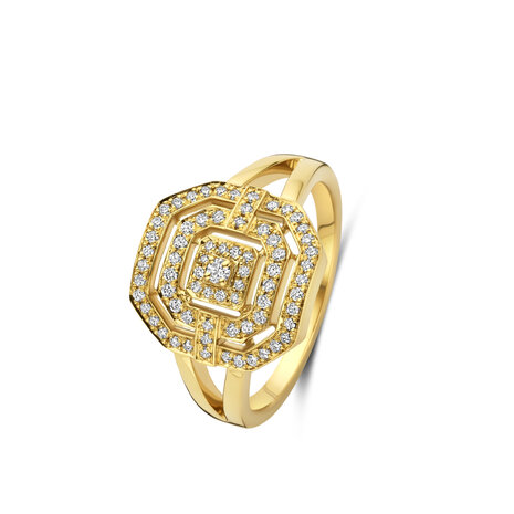 ring 18 kt diamant Vanhoutteghem