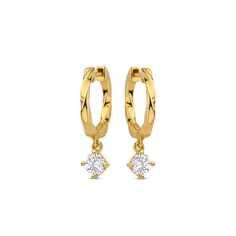 oorbellen Naiomy Silver N5N66