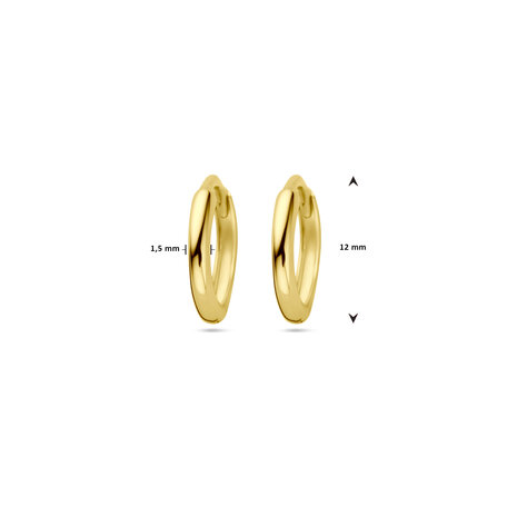 klapcreolen geel goud 14 kt