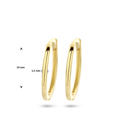 goudne creolen 14 kt