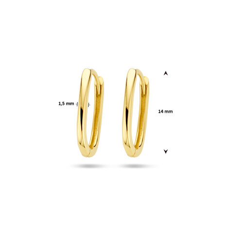 creolen ovaal goud 14 kt