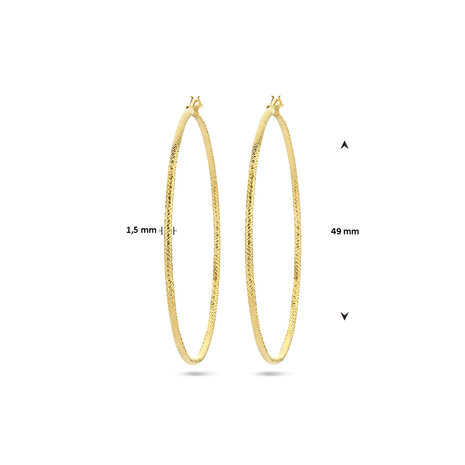 grote zilveren creolen 