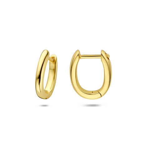 creolen zilver geel goud verguld