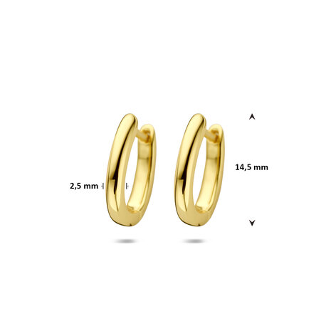 zilveren creolen ovaal