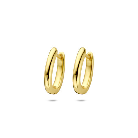 zilveren klapcreolen