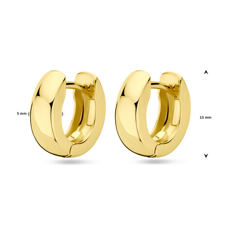 zilveren klapcreolen