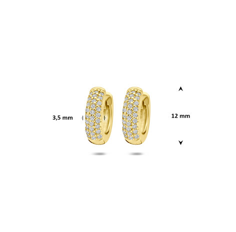 creolen verguld zirconia