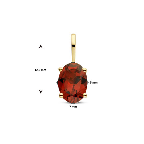 hanger geboortesteen 14 kt met grenat