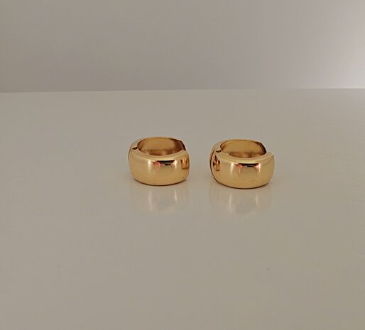 gouden scharnieroorbellen 18 kt