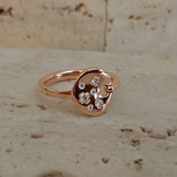 Ring Goud Roca Atelier A6937B - Maat 54