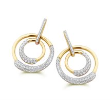 Oorbellen Silver Rose EA2113G