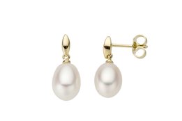 Gouden Oorbellen GO2881GE