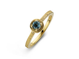 Ring Juwelier vanhoutteghem SR3413GTL