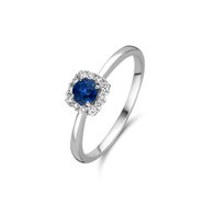 Ring Juwelier Vanhoutteghem 53883SA/54