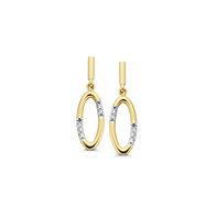 Gouden Oorbellen 63076