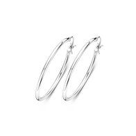 Creolen Zilver 30 mm 244643