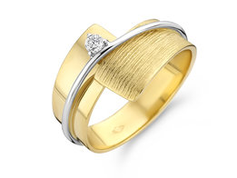 Ring Juwelier vanhoutteghem SR3462BB