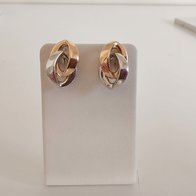 Gouden Oorbellen Vanhoutteghem S247394