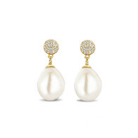 Oorbellen Silver Rose EA2260G