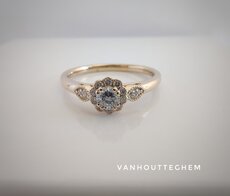 Ring Juwelier Vanhoutteghem S5651005