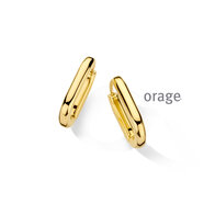Oorbellen Orage AW129 - AT318