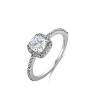 Ring Naiomy silver N2O61