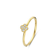 Ring 18 kt Briljant 067054