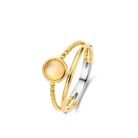 Ring Naiomy silver N3Z56