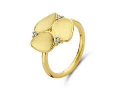 Ring 18kt SR3677BB Vanhoutteghem