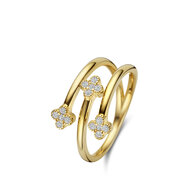 Ring Naiomy silver N4M61