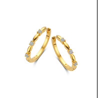 Oorringen Naiomy Silver N4W56